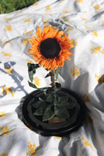 Load image into Gallery viewer, Sunflower Grand Belle
