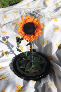 Sunflower Grand Belle