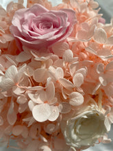 Load image into Gallery viewer, Hydrangea x Rose Mademoiselle